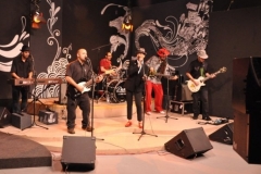 THE SELECTER