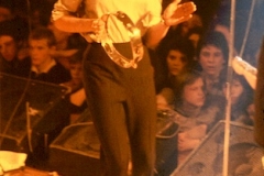 THE SELECTER