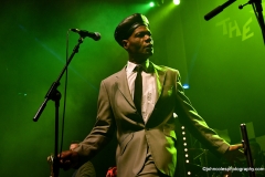 THE SELECTER