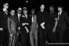 THE SELECTER